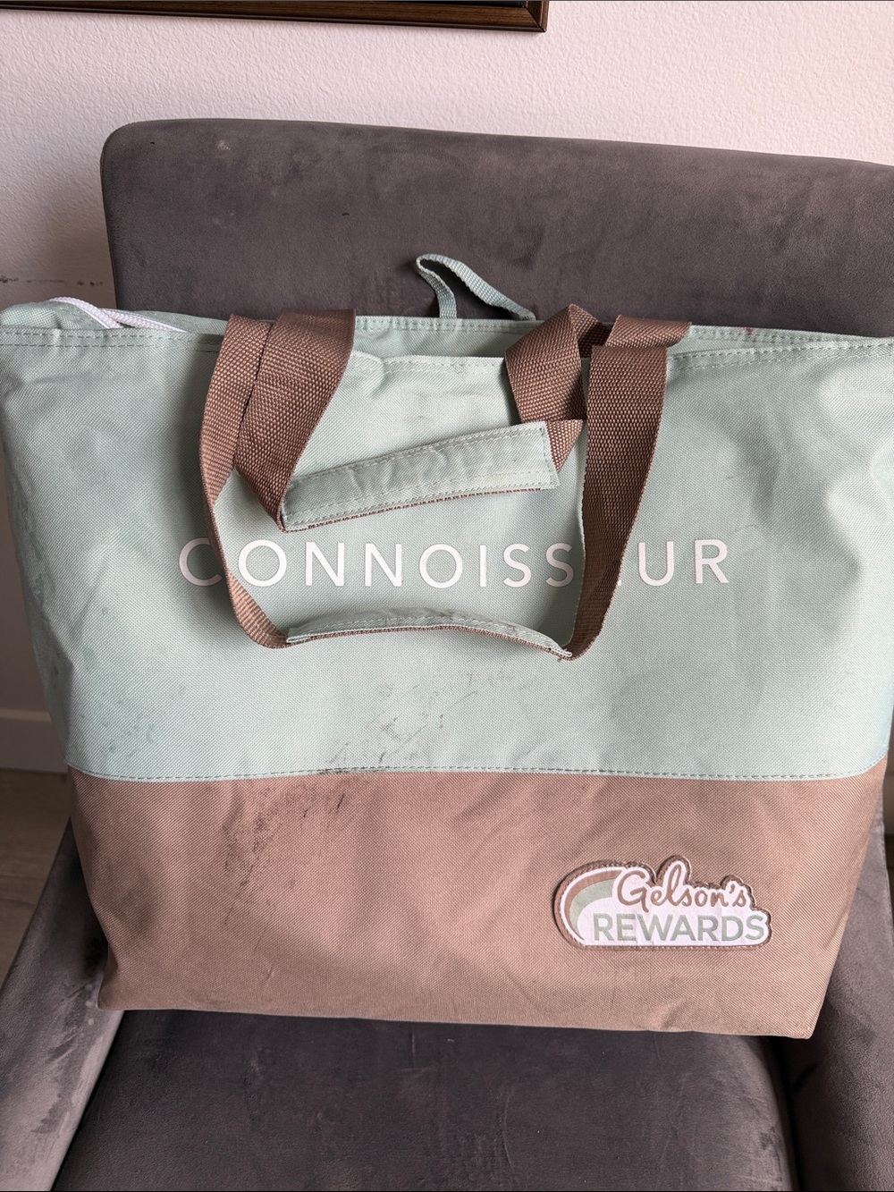 Two-Tone Mint & Brown Canvas Tote